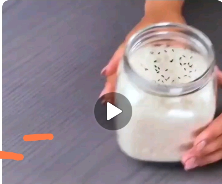 چطوری از حشره زدن برنج جلوگیری کنیم؟ 🤔