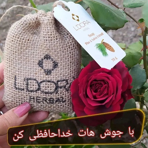 تفاوت پن و صابون. فرق بین پن و صابون چیست ؟پ